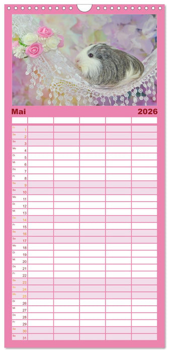 Familienplaner MEERSCHWEINCHEN verzaubern uns (CALVENDO Familienplaner 2026)