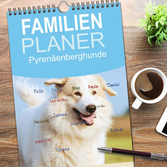 Pyrenäenberghunde (CALVENDO Familienplaner 2026)