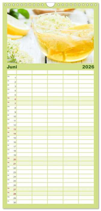 Köstliche Wildkräuter (CALVENDO Familienplaner 2026)