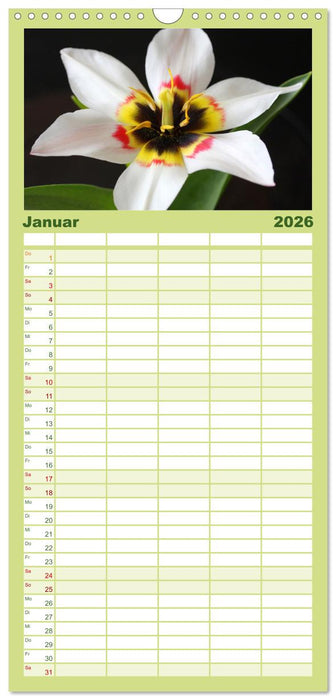 Liebenswerte Blüten (CALVENDO Familienplaner 2026)