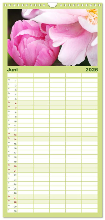 Liebenswerte Blüten (CALVENDO Familienplaner 2026)