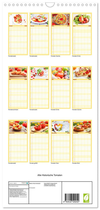 Alte Historische Tomaten (CALVENDO Familienplaner 2026)