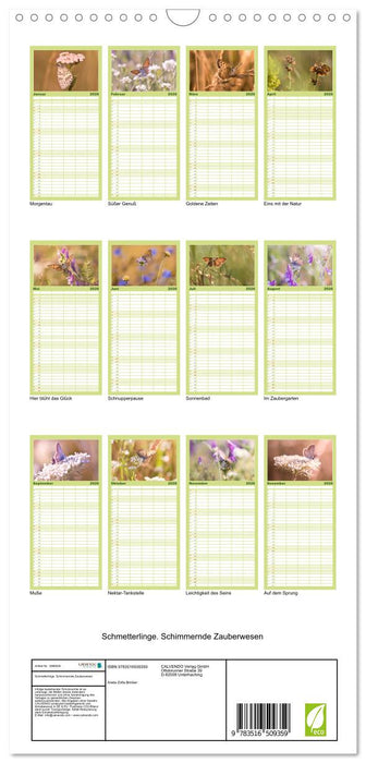 Schmetterlinge. Schimmernde Zauberwesen (CALVENDO Familienplaner 2026)