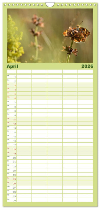 Schmetterlinge. Schimmernde Zauberwesen (CALVENDO Familienplaner 2026)