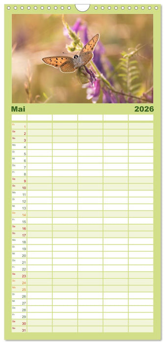 Schmetterlinge. Schimmernde Zauberwesen (CALVENDO Familienplaner 2026)