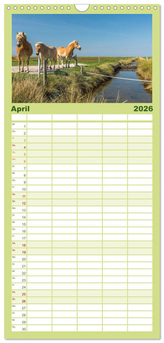 Schleswig-Holstein (CALVENDO Familienplaner 2026)