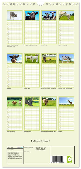 Die Kuh macht Muuuh! (CALVENDO Familienplaner 2026)