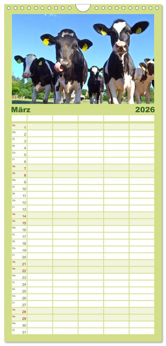 Die Kuh macht Muuuh! (CALVENDO Familienplaner 2026)