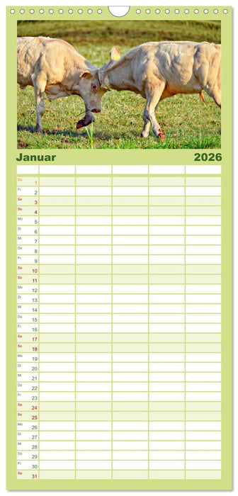 Tierkampf - Rivalen vertreiben (CALVENDO Familienplaner 2026)