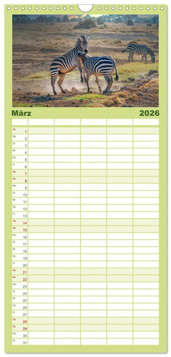 Tierkampf - Rivalen vertreiben (CALVENDO Familienplaner 2026)