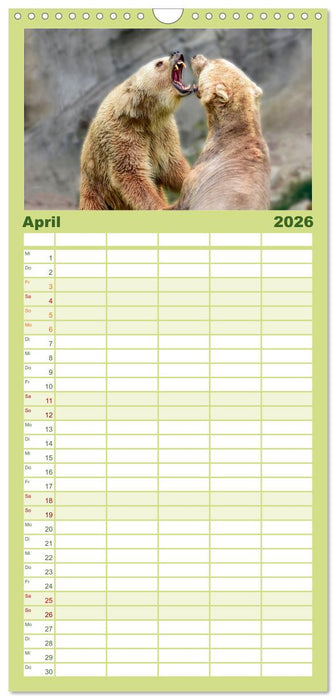 Tierkampf - Rivalen vertreiben (CALVENDO Familienplaner 2026)