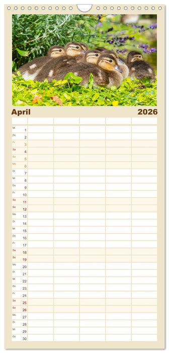 Geliebte Tiere auf dem Bauernhof (CALVENDO Familienplaner 2026)