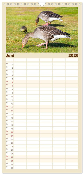 Geliebte Tiere auf dem Bauernhof (CALVENDO Familienplaner 2026)