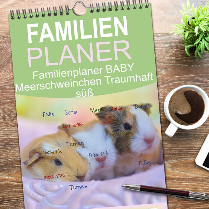 Familienplaner BABY Meerschweinchen Traumhaft süß (CALVENDO Familienplaner 2026)