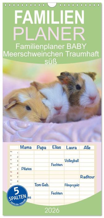 Familienplaner BABY Meerschweinchen Traumhaft süß (CALVENDO Familienplaner 2026)