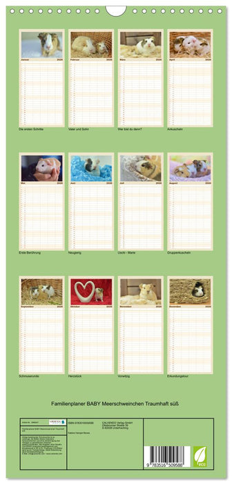 Familienplaner BABY Meerschweinchen Traumhaft süß (CALVENDO Familienplaner 2026)