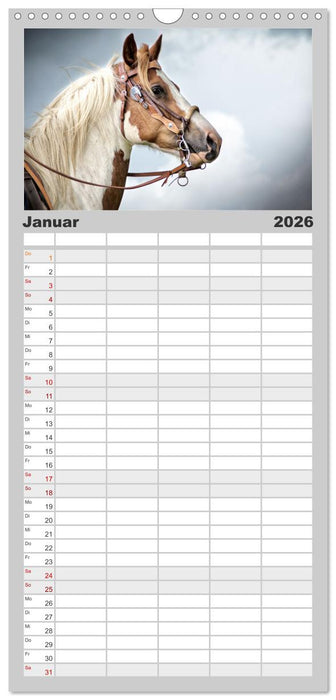 Faszination Westernpferde (CALVENDO Familienplaner 2026)