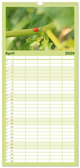 Meine kleine Auszeit (CALVENDO Familienplaner 2026)