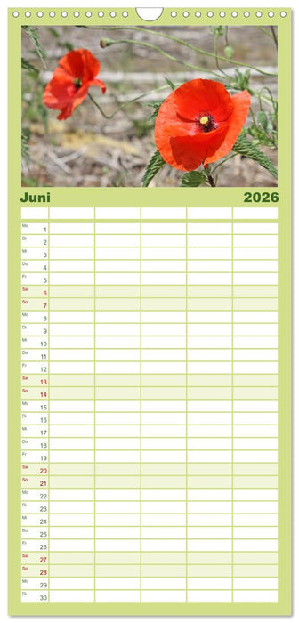 Meine kleine Auszeit (CALVENDO Familienplaner 2026)