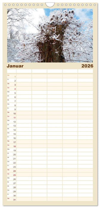 Wenn Bäume erzählen könnten (CALVENDO Familienplaner 2026)