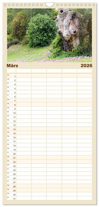 Wenn Bäume erzählen könnten (CALVENDO Familienplaner 2026)