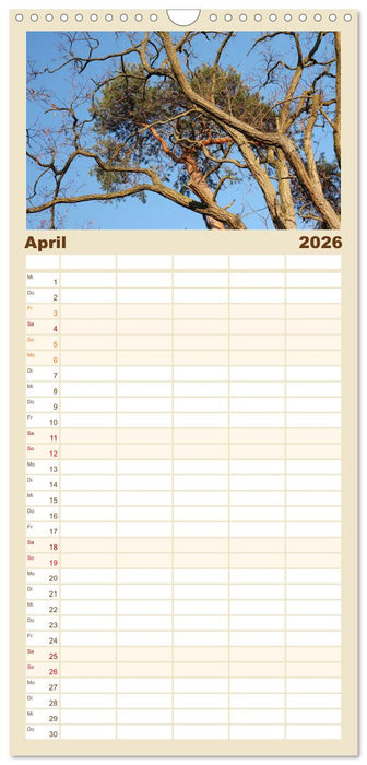 Wenn Bäume erzählen könnten (CALVENDO Familienplaner 2026)