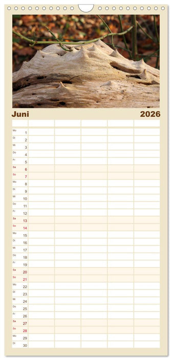 Wenn Bäume erzählen könnten (CALVENDO Familienplaner 2026)