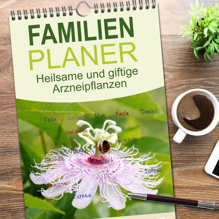 Heilsame und giftige Arzneipflanzen (CALVENDO Familienplaner 2026)