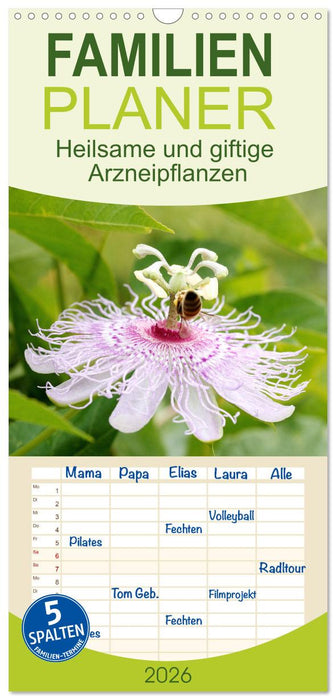 Heilsame und giftige Arzneipflanzen (CALVENDO Familienplaner 2026)
