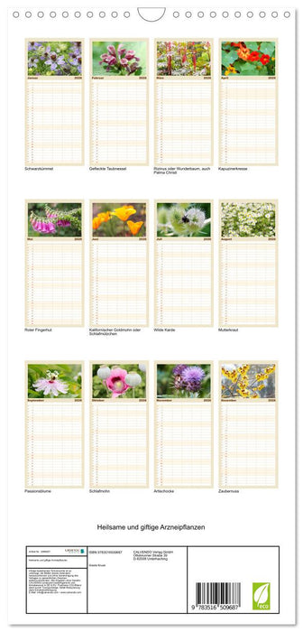 Heilsame und giftige Arzneipflanzen (CALVENDO Familienplaner 2026)