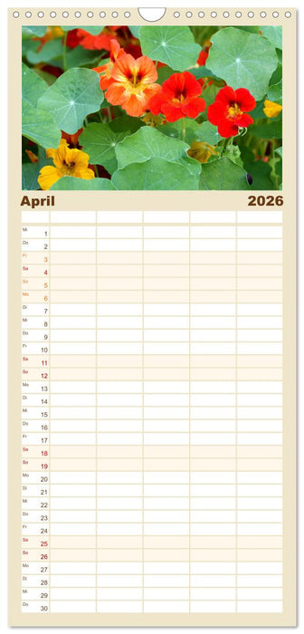 Heilsame und giftige Arzneipflanzen (CALVENDO Familienplaner 2026)