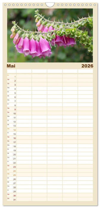 Heilsame und giftige Arzneipflanzen (CALVENDO Familienplaner 2026)