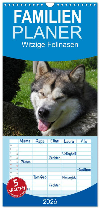 Witzige Fellnasen (CALVENDO Familienplaner 2026)