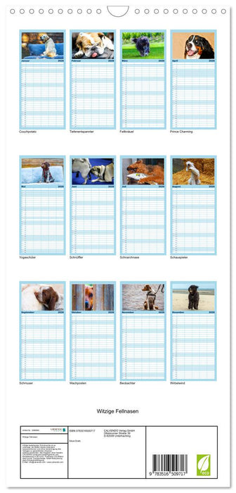 Witzige Fellnasen (CALVENDO Familienplaner 2026)