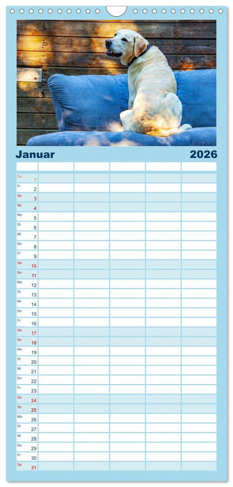 Witzige Fellnasen (CALVENDO Familienplaner 2026)