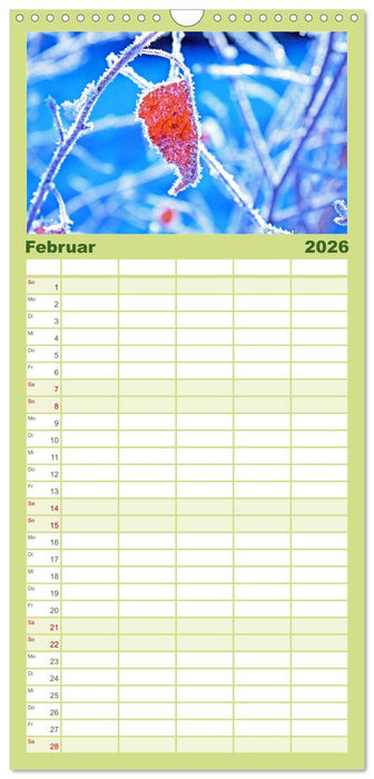 Die Schönheit der Jahreszeiten, Sehnsucht nach Farbe und Leichtigkeit (CALVENDO Familienplaner 2026)