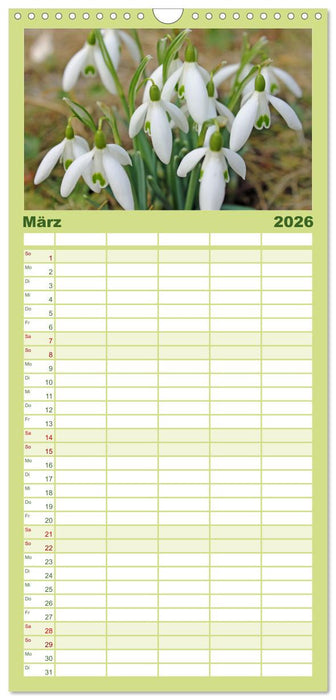 Die Schönheit der Jahreszeiten, Sehnsucht nach Farbe und Leichtigkeit (CALVENDO Familienplaner 2026)
