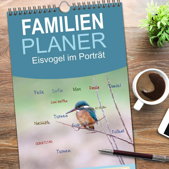 Eisvogel im Porträt (CALVENDO Familienplaner 2026)