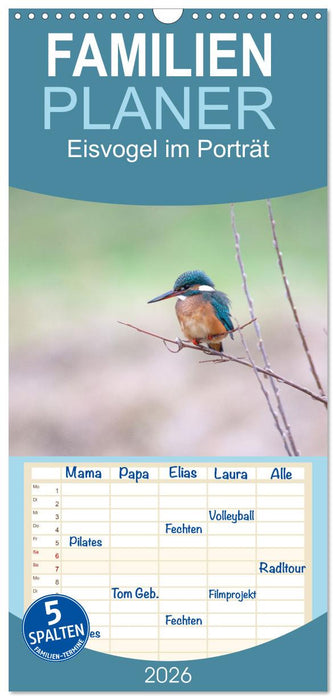 Eisvogel im Porträt (CALVENDO Familienplaner 2026)