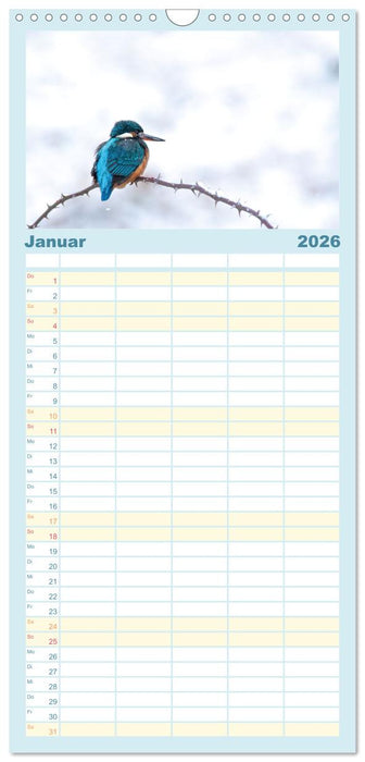 Eisvogel im Porträt (CALVENDO Familienplaner 2026)