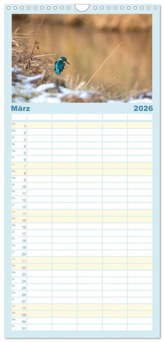 Eisvogel im Porträt (CALVENDO Familienplaner 2026)