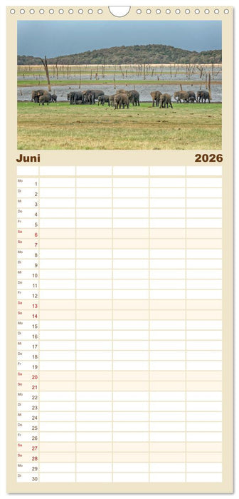 Magic Places - Sehnsuchtsorte nah und fern (CALVENDO Familienplaner 2026)