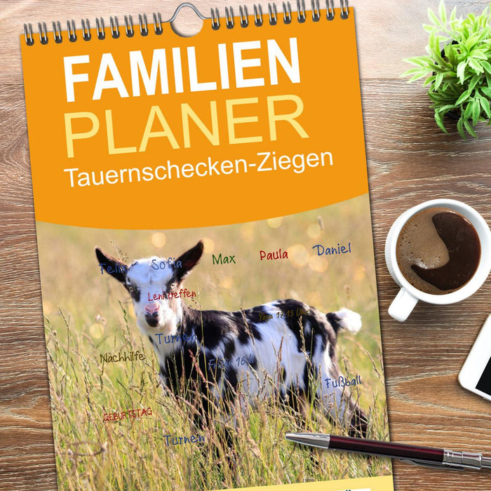 Tauernschecken-Ziegen (CALVENDO Familienplaner 2026)
