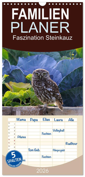 Faszination Steinkauz (CALVENDO Familienplaner 2026)