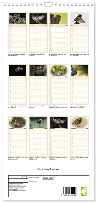 Faszination Steinkauz (CALVENDO Familienplaner 2026)
