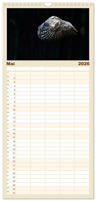 Faszination Steinkauz (CALVENDO Familienplaner 2026)