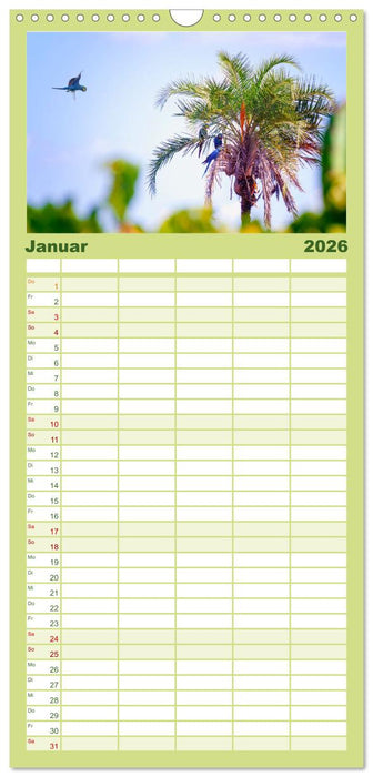 Brasilien - Karnevale, Fußball und Regenwälder. (CALVENDO Familienplaner 2026)