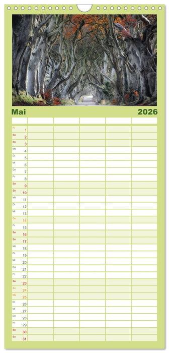 Naturschauspiel Irland (CALVENDO Familienplaner 2026)