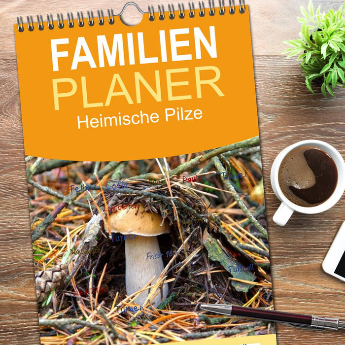 Heimische Pilze (CALVENDO Familienplaner 2026)