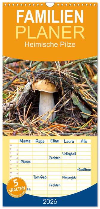 Heimische Pilze (CALVENDO Familienplaner 2026)